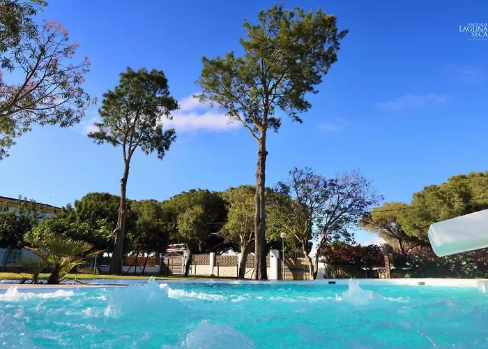 Hacienda Laguna Seca - Lavanda