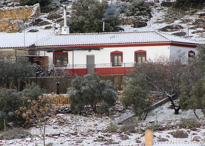 El Almendro de Fuentes Nuevas