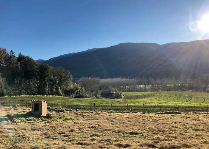La Badia Nova