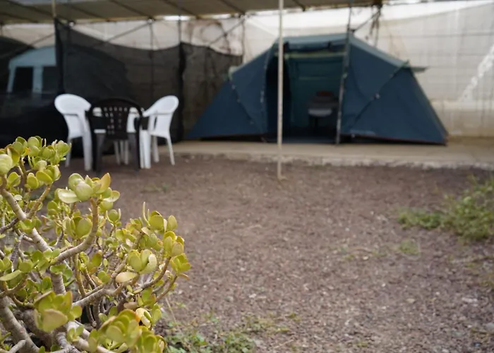 Agrocamping Invernaderito Tejina, España