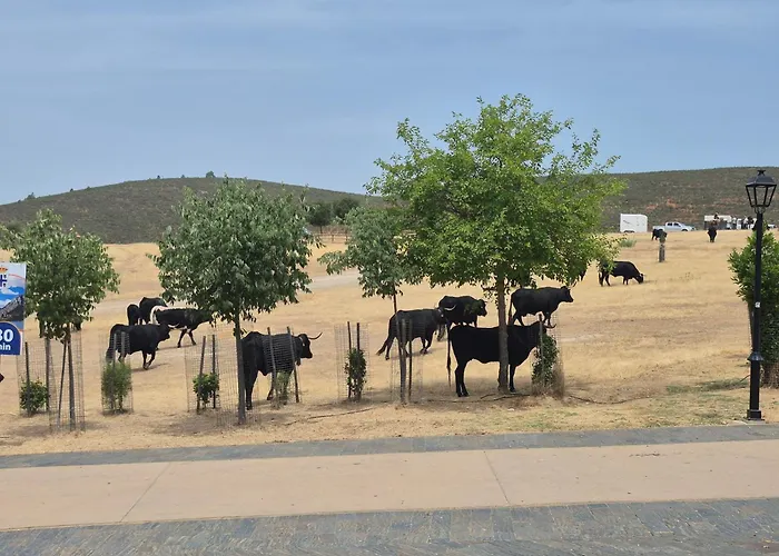 Casa Rural Monfragüe