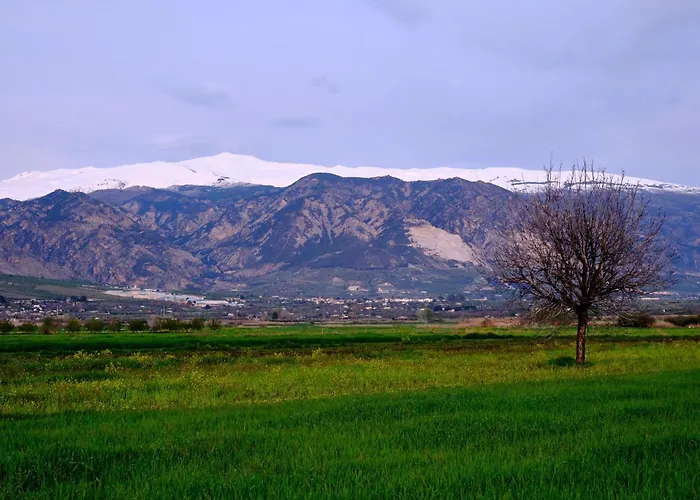 Finca Bellas Vistas