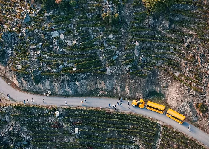 Casa Turística Viladonatus (Ribeira Sacra)