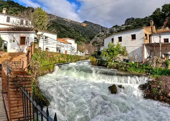 Molino Del Caracol
