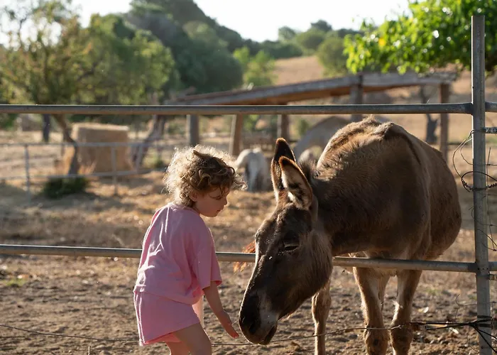 Finca Hotel Ses Cases Noves