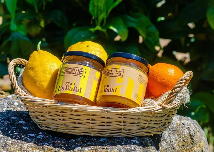 Finca es Rafal, Agroturisme