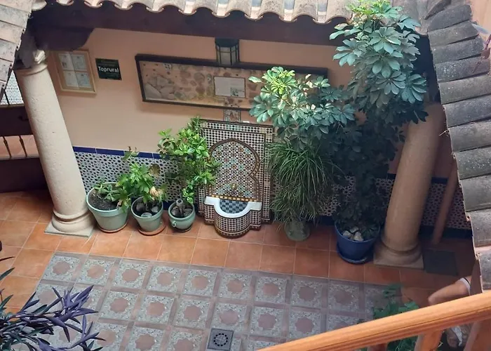 Magico