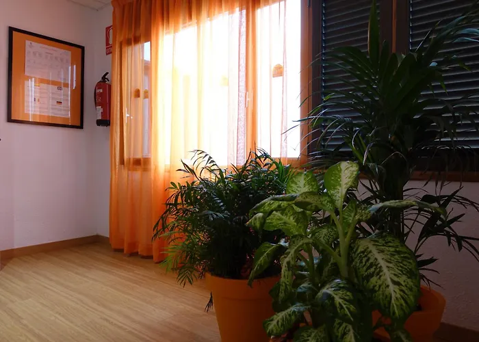 Hotel Andrea'S Los Cristianos , España