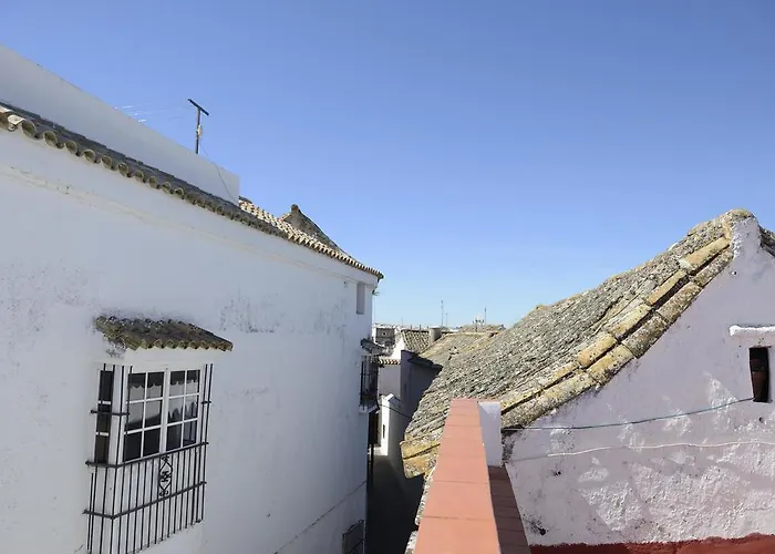 Las Cadenas Del Cananeo