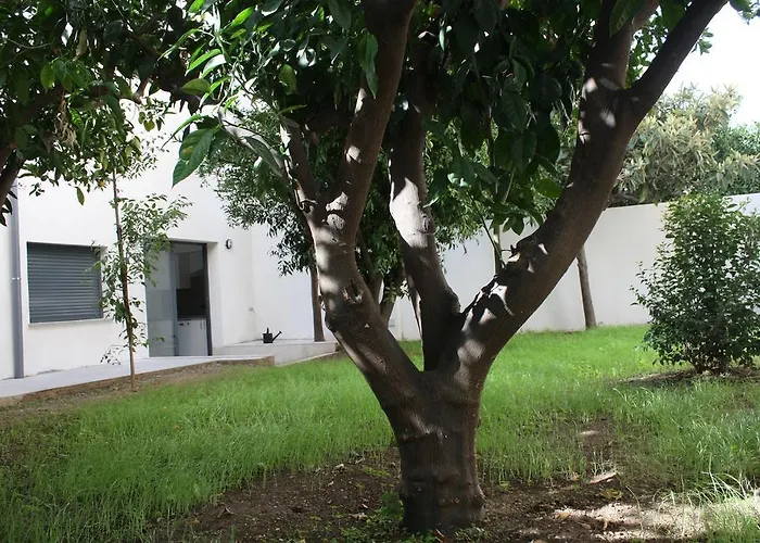 Residencia Mayol - Adults Only