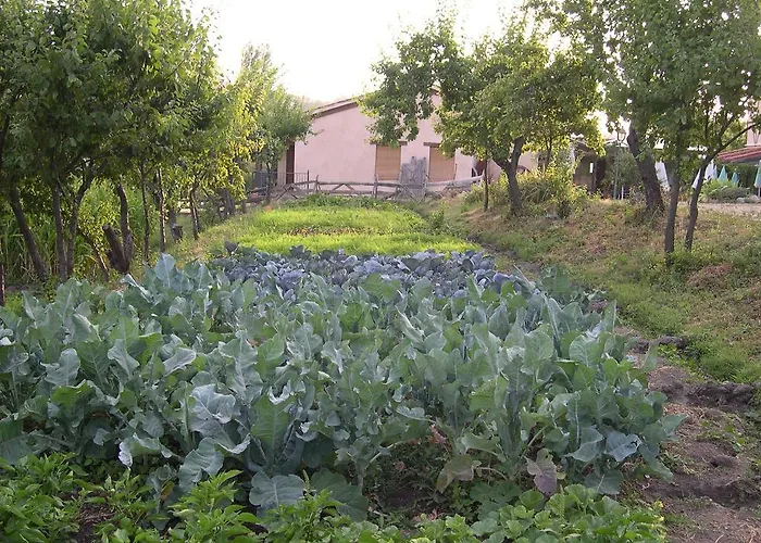 La Huerta De San Lorenzo
