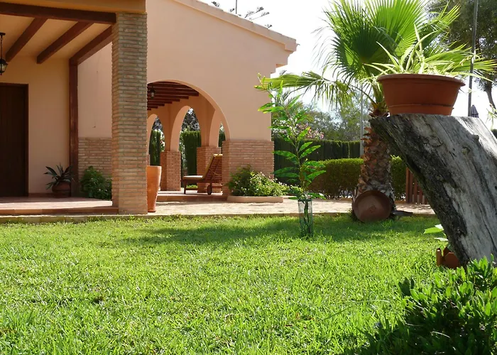 Mil Palmeras Pilar de la Horadada, España