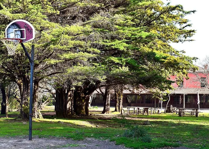 Finca Don Leandro