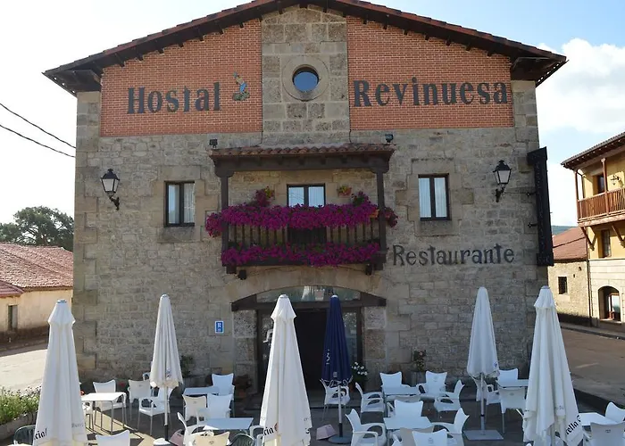 Revinuesa