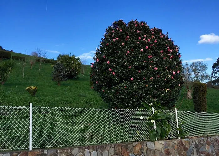 Apartamentos Rurales Casa Ron Coana, España