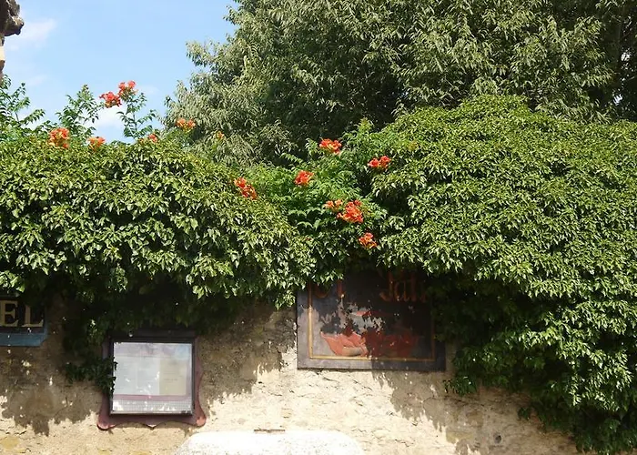 Hotel Restaurant El Pati