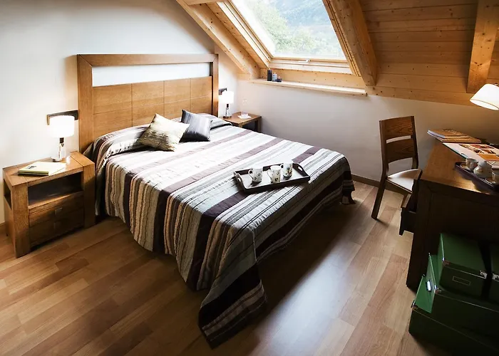 Apartaments Petit Saüc