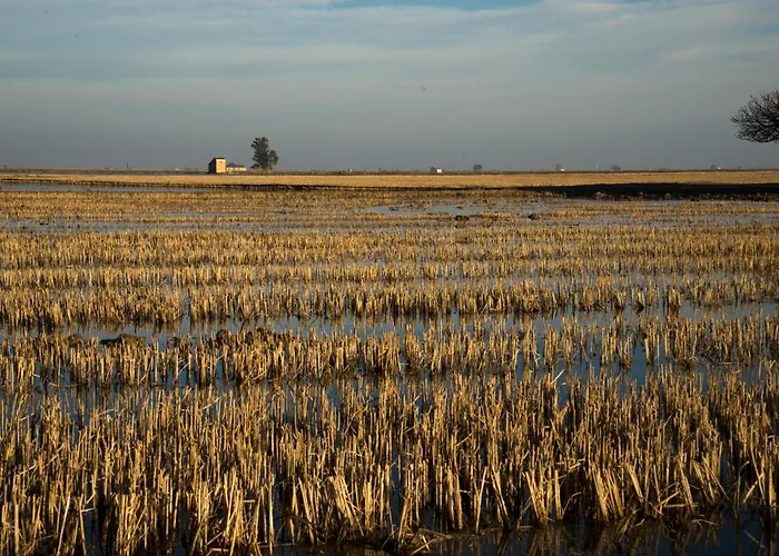 Mas Illa de Riu - Auténtica Masía del Delta del Ebro con capacidad para 20 personas - Deltavacaciones