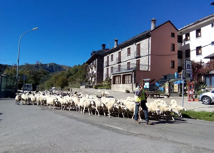 Albergue El Último Bucardo