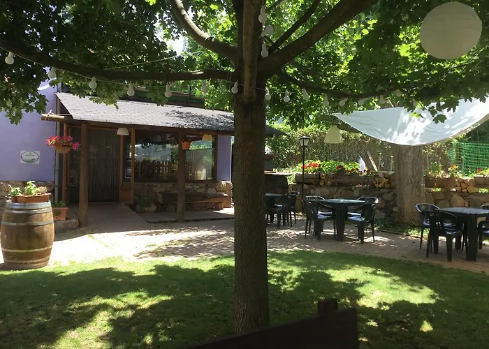 Albergue Pajaro Loco