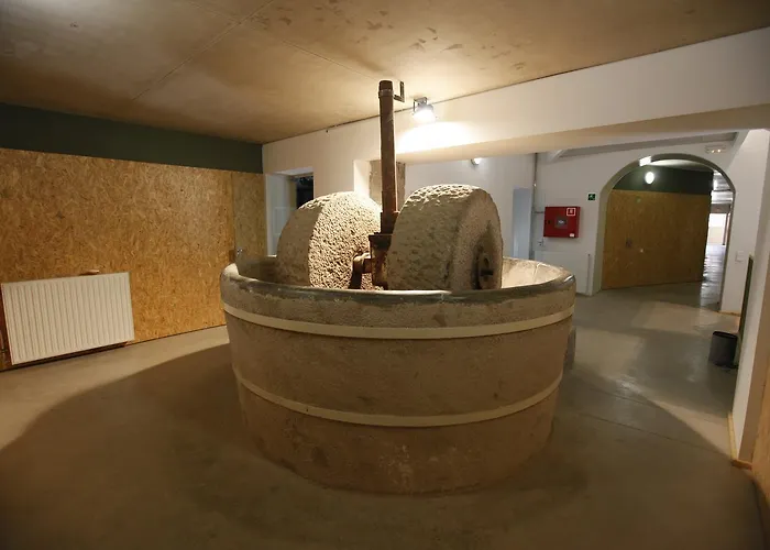 Alberg Moli De Sant Oleguer