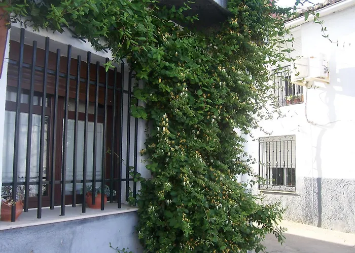 Abuela Maxi