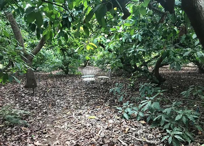 Finca El Vergel Rural Tegueste, España