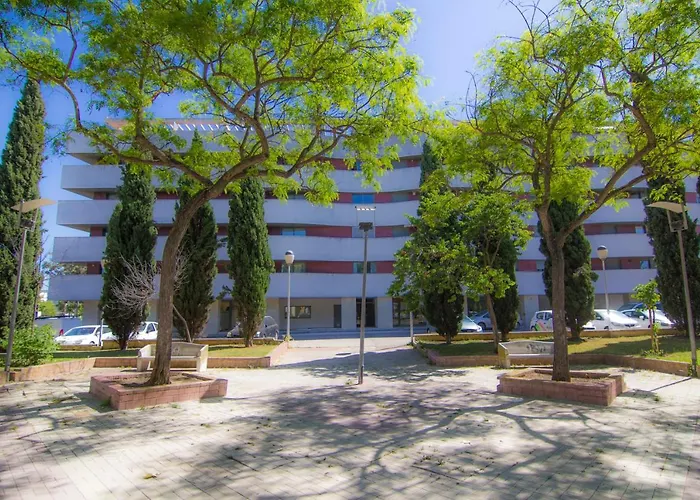 Racimo