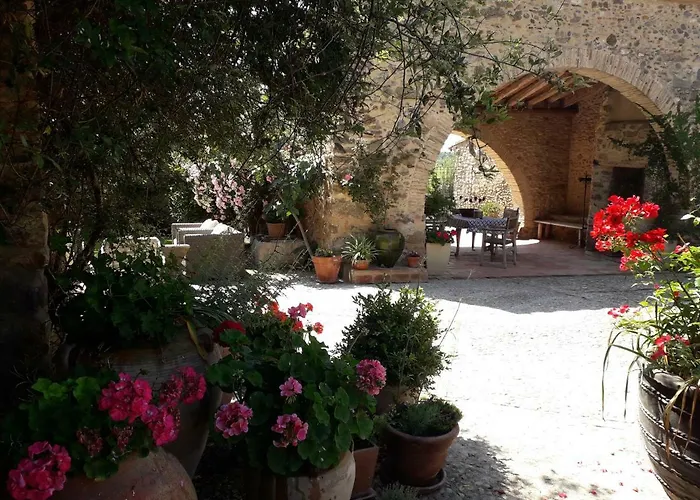 Carbó De Les Olives