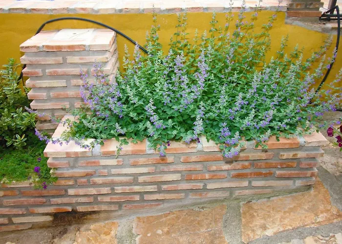 Finca El Destino