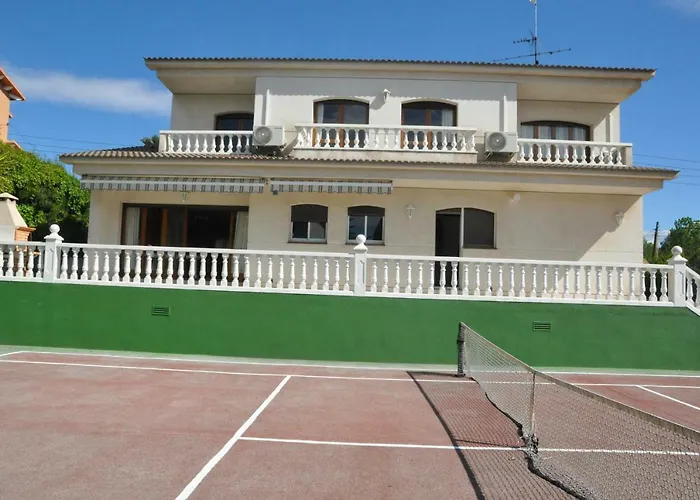 Tenis Roda De Bara