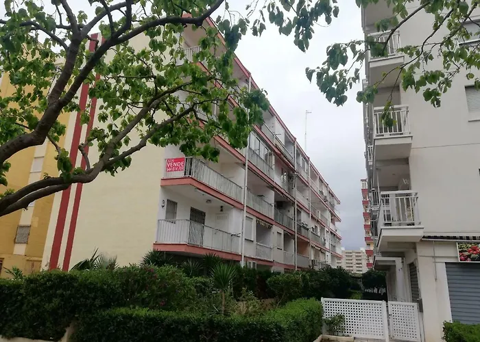 Estudios Solmar Solo Familias Serviplaya Gandía, España