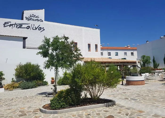 Hotel Entreolivos