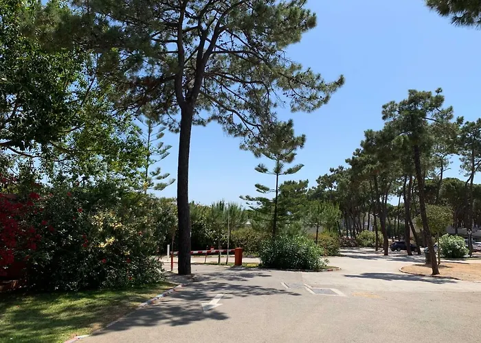 Camping La Buganvilla Marbella, España