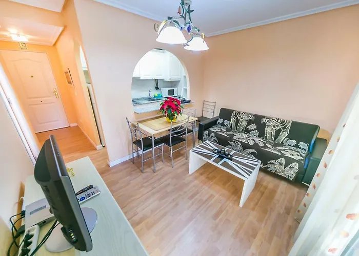Homely Apartments Calle Apolo