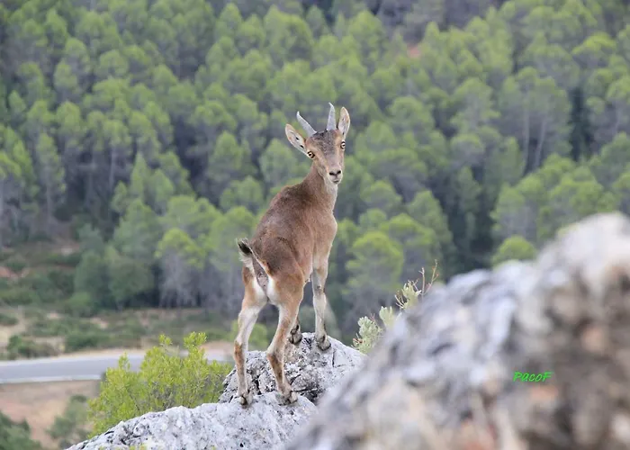 Alojamiento aguasblanquillas Coto Ríos, España