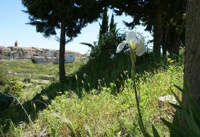 Los Trulls d´Auligué La Pobla de Massaluca, España