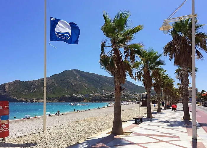 Fin Albir Playa
