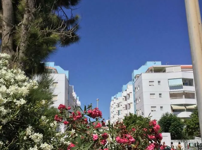 La Perla Azul Playa - Terraza al Sol