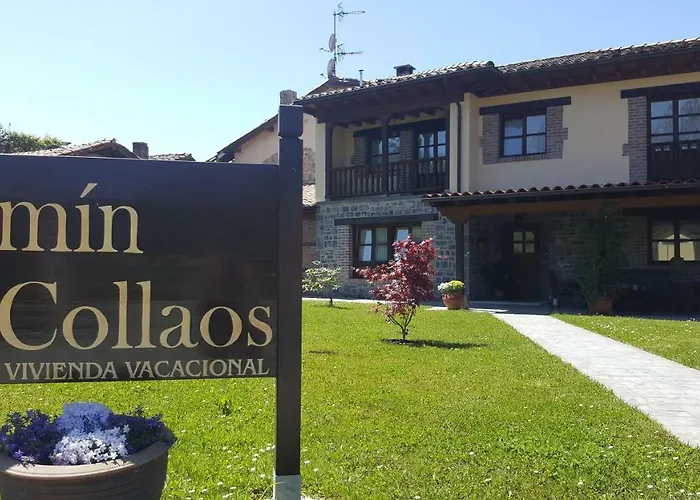 Camin De Los Collaos
