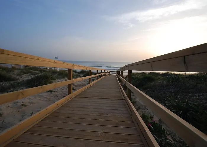 Oasis En La Playa