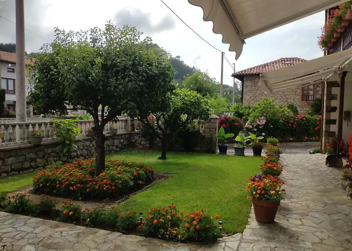 Apartamentos El Calleju