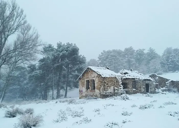 Cabañas los Pinos Arroyo Frío, España