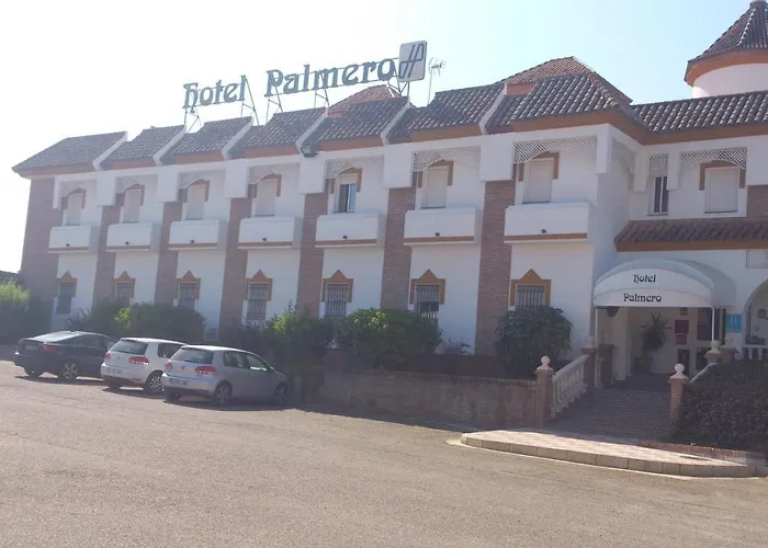 Palmero