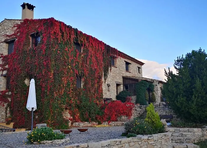 Mas De L'Arlequi